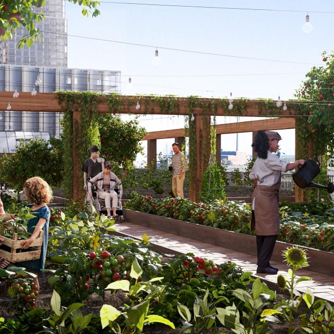 rendering of people enjoying outdoor green space on a roof top