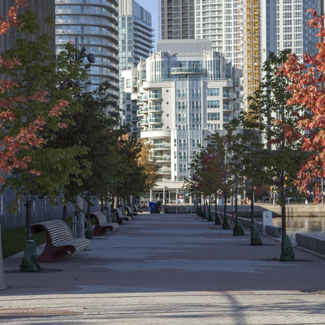 tree lined waterfront promenade in the fall