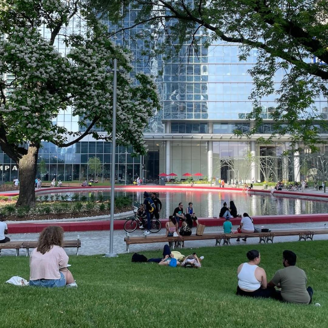 people sprawled out next to a pond and enjoying an urban park