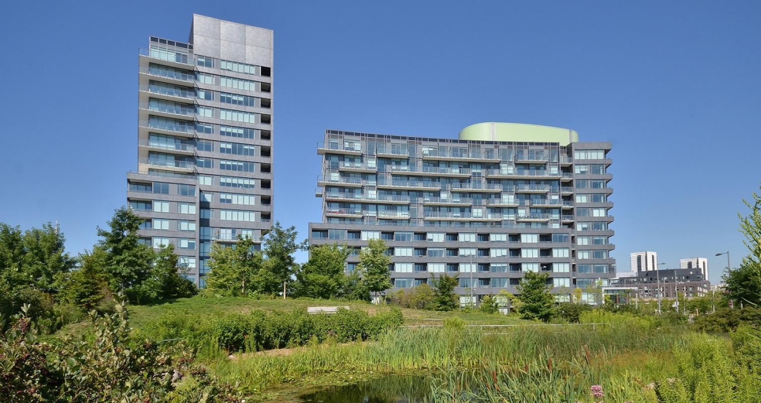 two condo buildings taken from a park on a sunny blue sky day