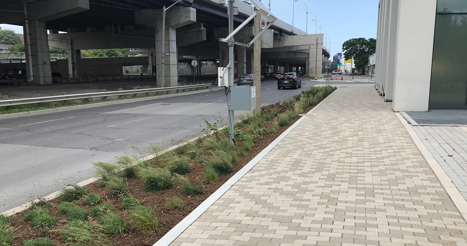 A sidewalk made out of paving stones, next to a planted buffer, next to a road.