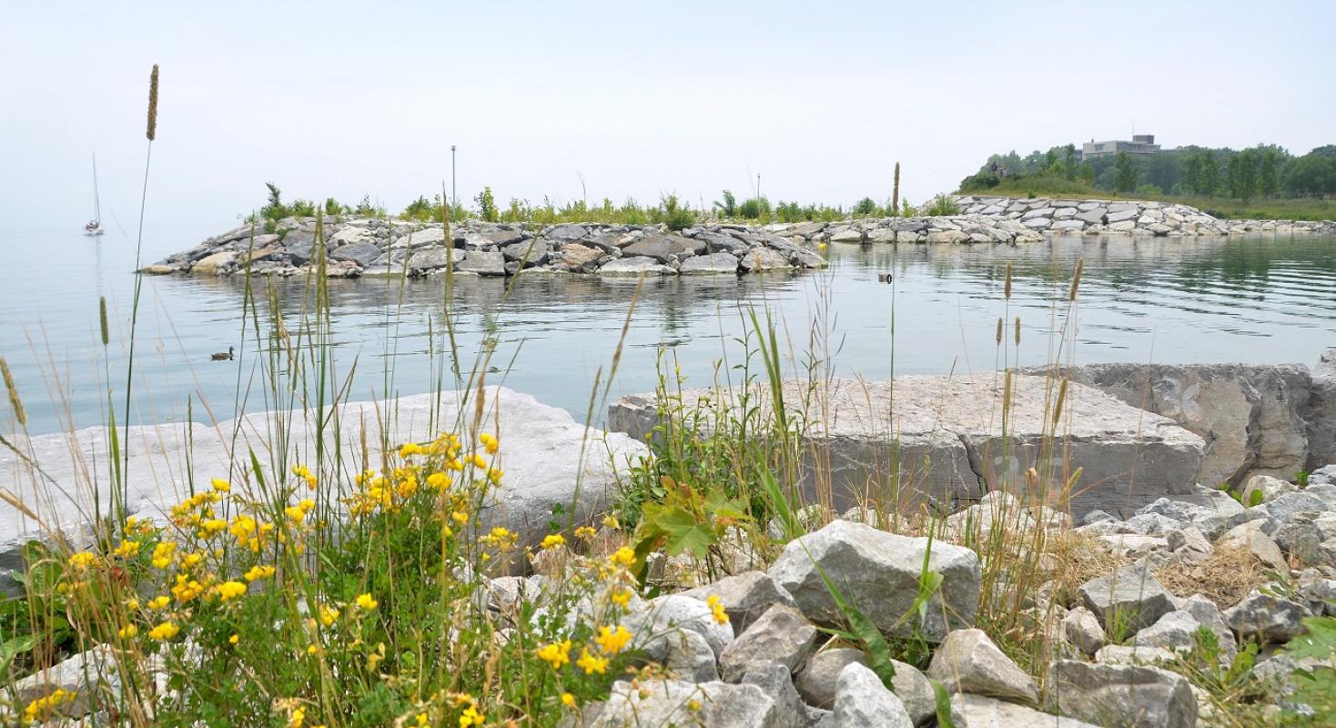 the shoreline and waterfront with pebbles and plantings