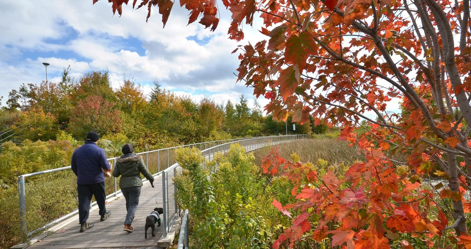 two people and a dog walking over a park bridge on a colourful fall day