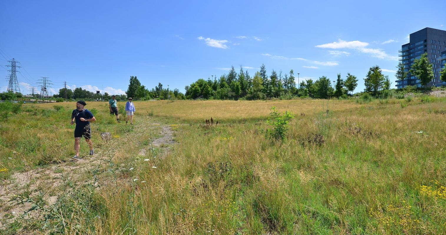 people walking through a grassy open trail on a sunny day