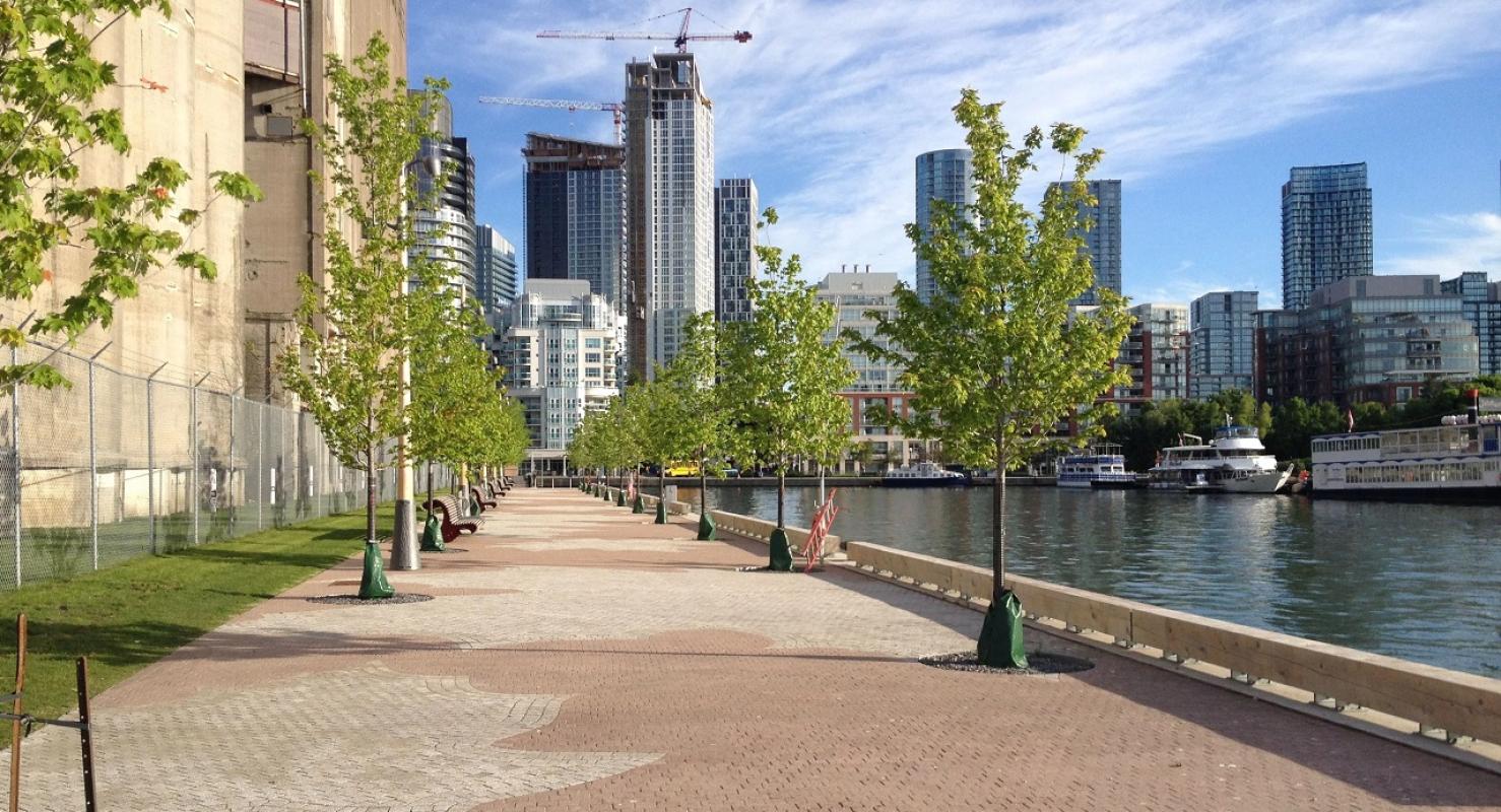 a tree lined promenade along the water's edge