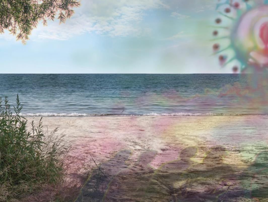 Image credit:  Sarah Anne Johnson, Best Beach (detail), 2015, Courtesy of Stephen Bulger Gallery, Toronto and Julie Saul Gallery, New York