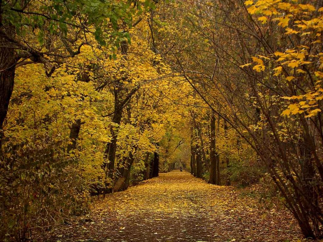 One of our favourite linear parks, the Toronto Beltline Trail
