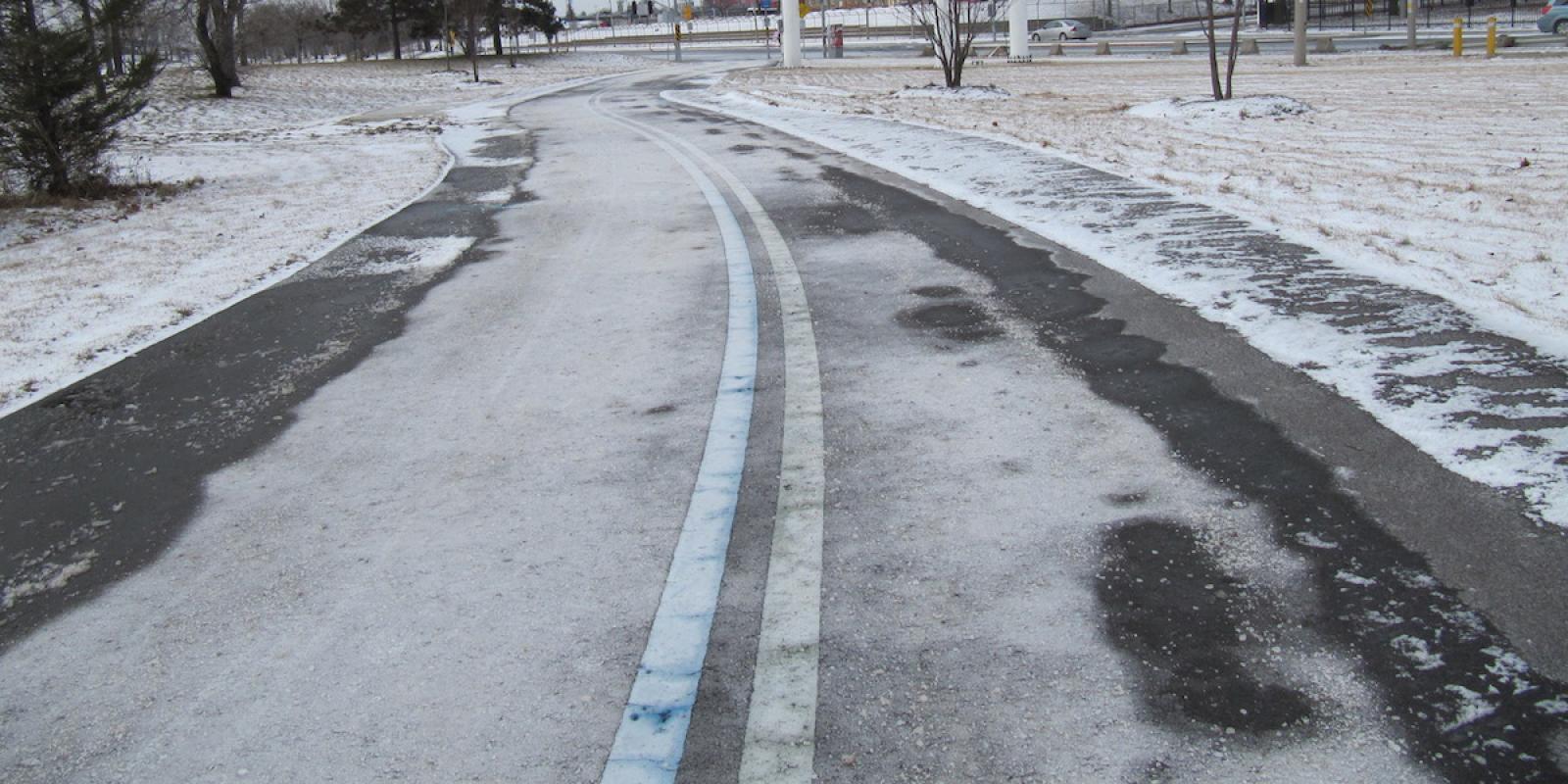 a section of the Martin Goodman Trail in winter.