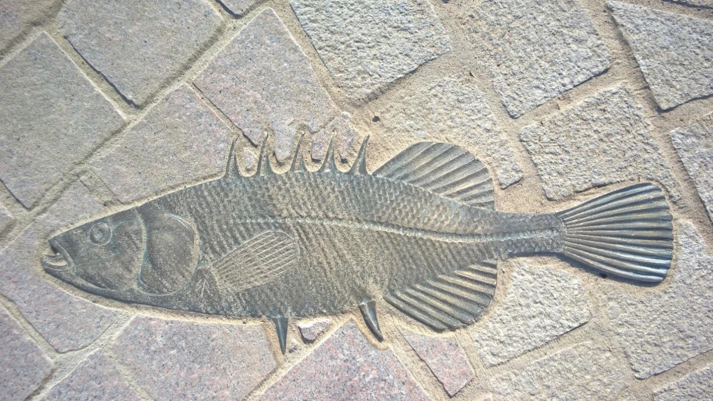 Bronze fish set into granite sidewalk pavers
