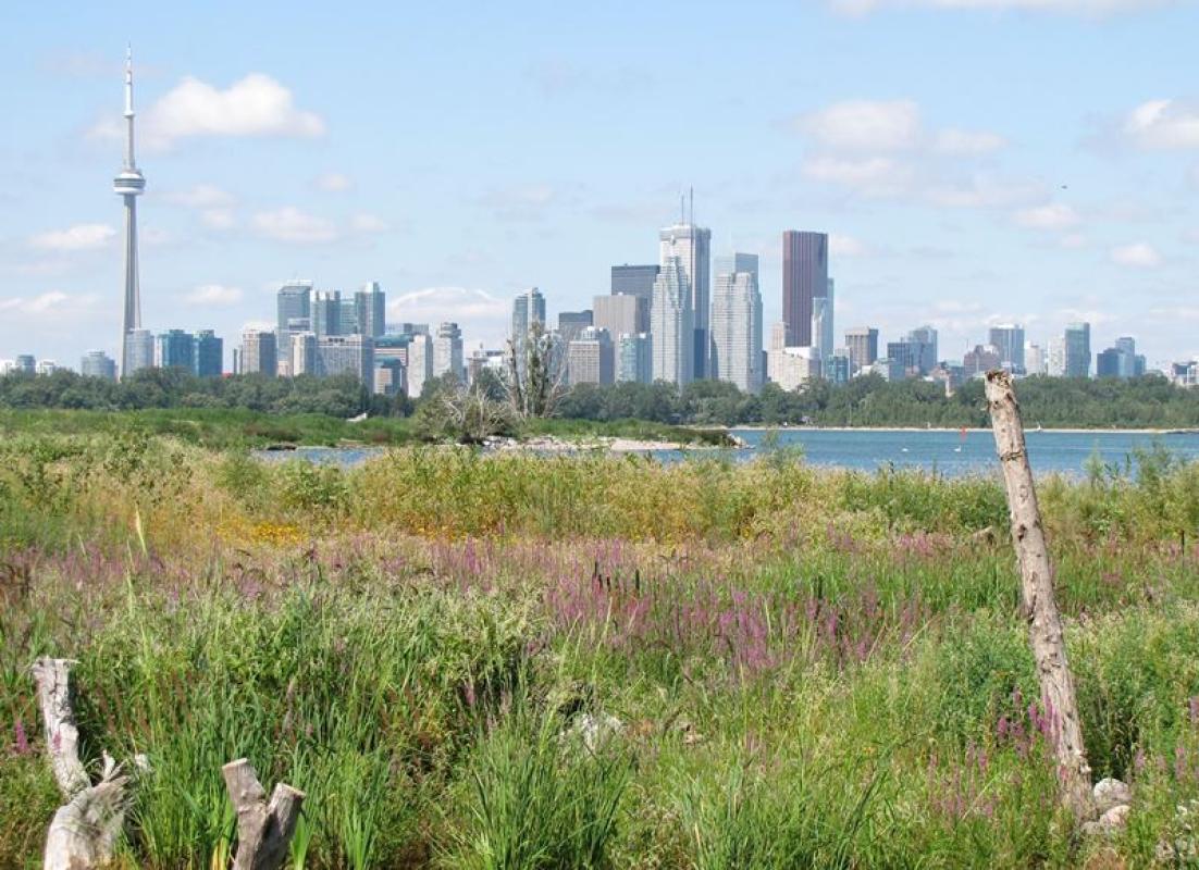 view of the Toronto skyline