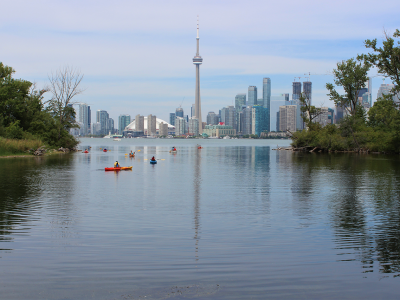 image of kayakers in Lake Ontario with CN Tower in background