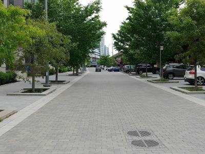 a photo showing a street with the road, sidewalk and trees