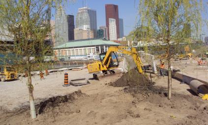 construction crews using equipment to dig and plant new trees at Sugar Beach