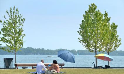 people sitting on the lawn next to Lake Ontario