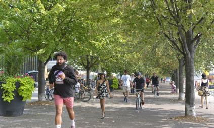 people walking, jogging and cycling along the tree-lined Water's Edge Promenade