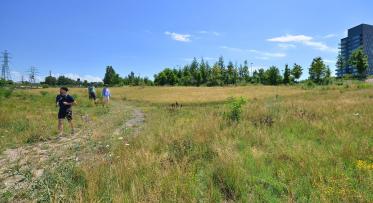 people walking through a grassy open trail on a sunny day