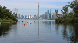 image of kayakers in Lake Ontario with CN Tower in background